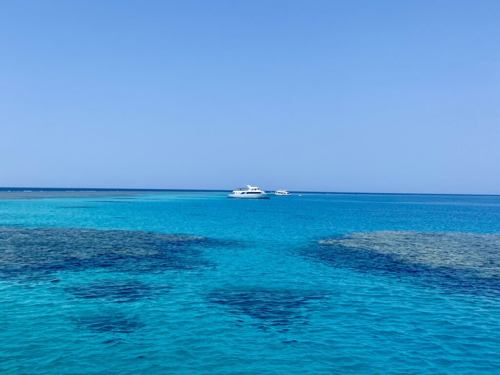 Satay Reef delfíni - zátoka- Egypt Marsa Alam